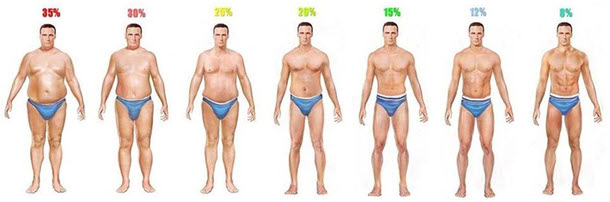 male body fat